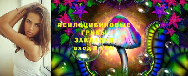 apvp Вуктыл