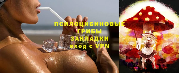 apvp Вуктыл