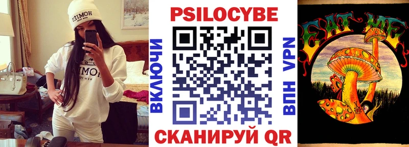Галлюциногенные грибы Psilocybe  как найти   Печора 