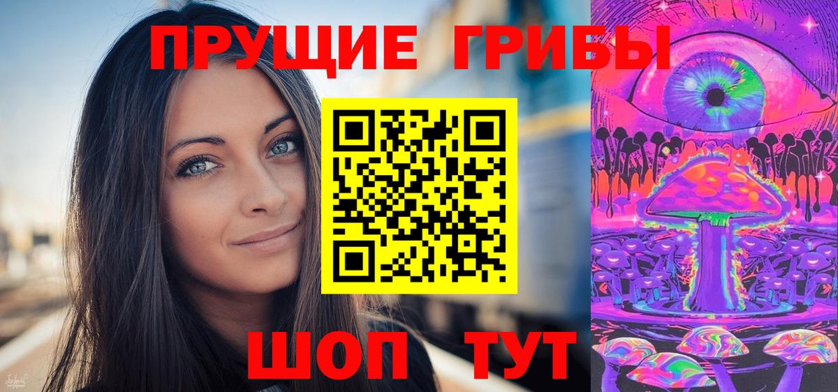 Псилоцибиновые грибы Psilocybe Печора