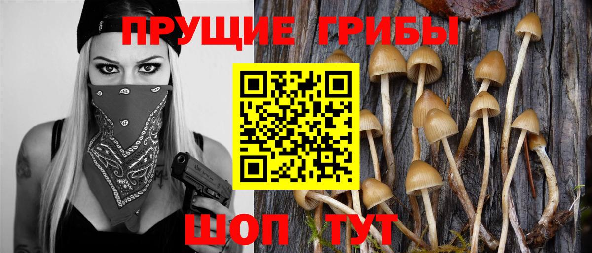 хочу наркоту  Вход с VPN  Печора  Псилоцибиновые грибы Magic Shrooms 